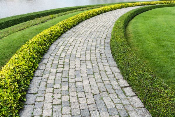 Cost of Sidewalk Pavers Installation in Bellevue